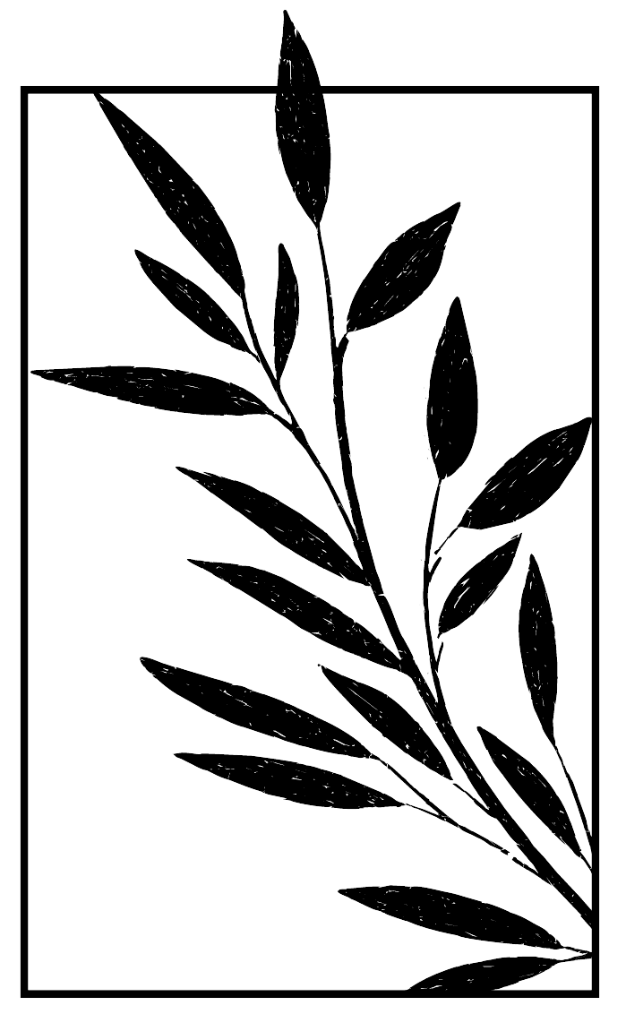 NOUVELLE PAGE